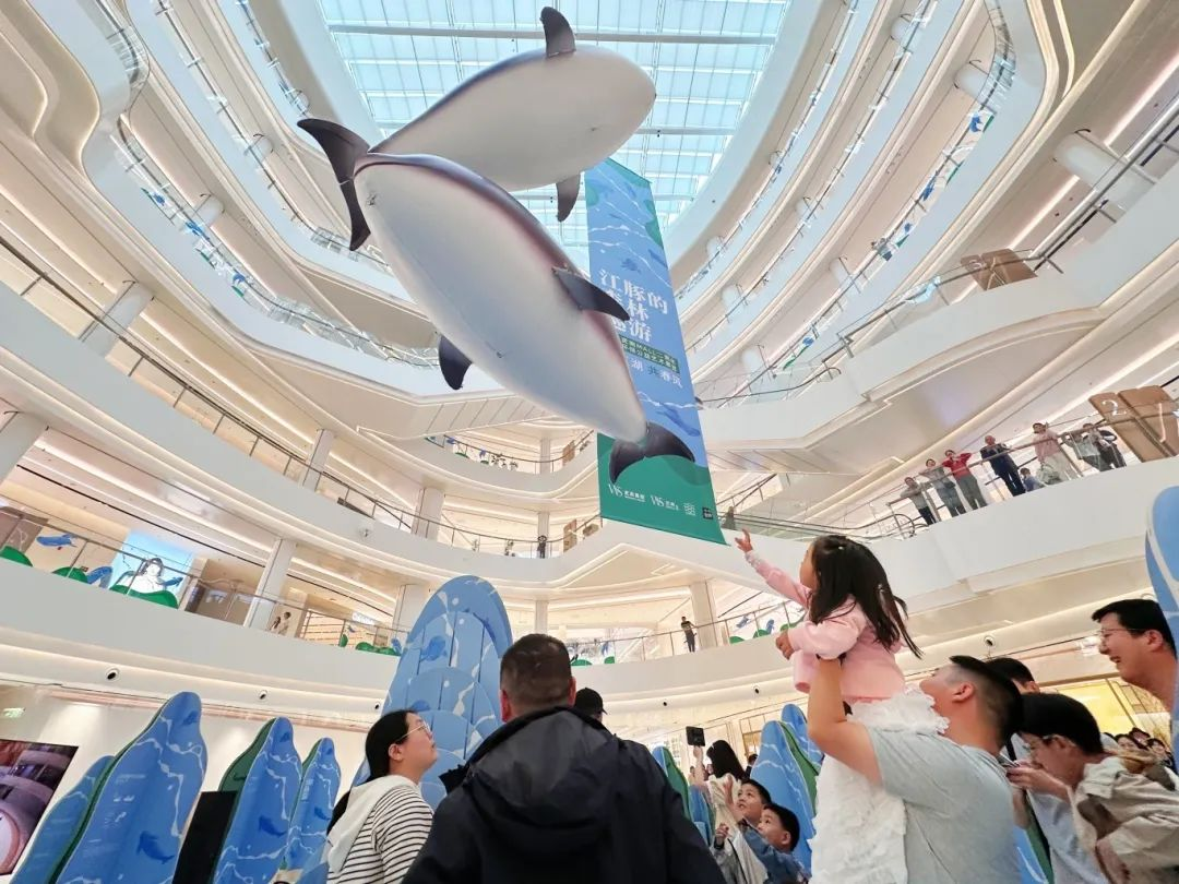 1277�Ǽʵ���(�й���)�ٷ���Ϸ��ַ