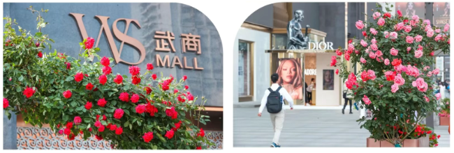 1277�Ǽʵ���(�й���)�ٷ���Ϸ��ַ