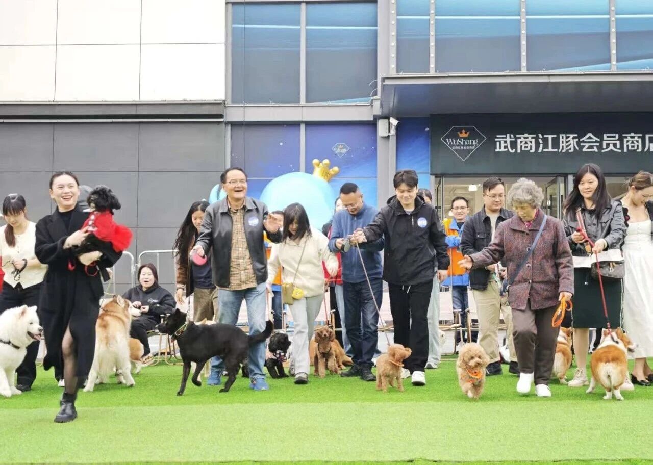 1277�Ǽʵ���(�й���)�ٷ���Ϸ��ַ