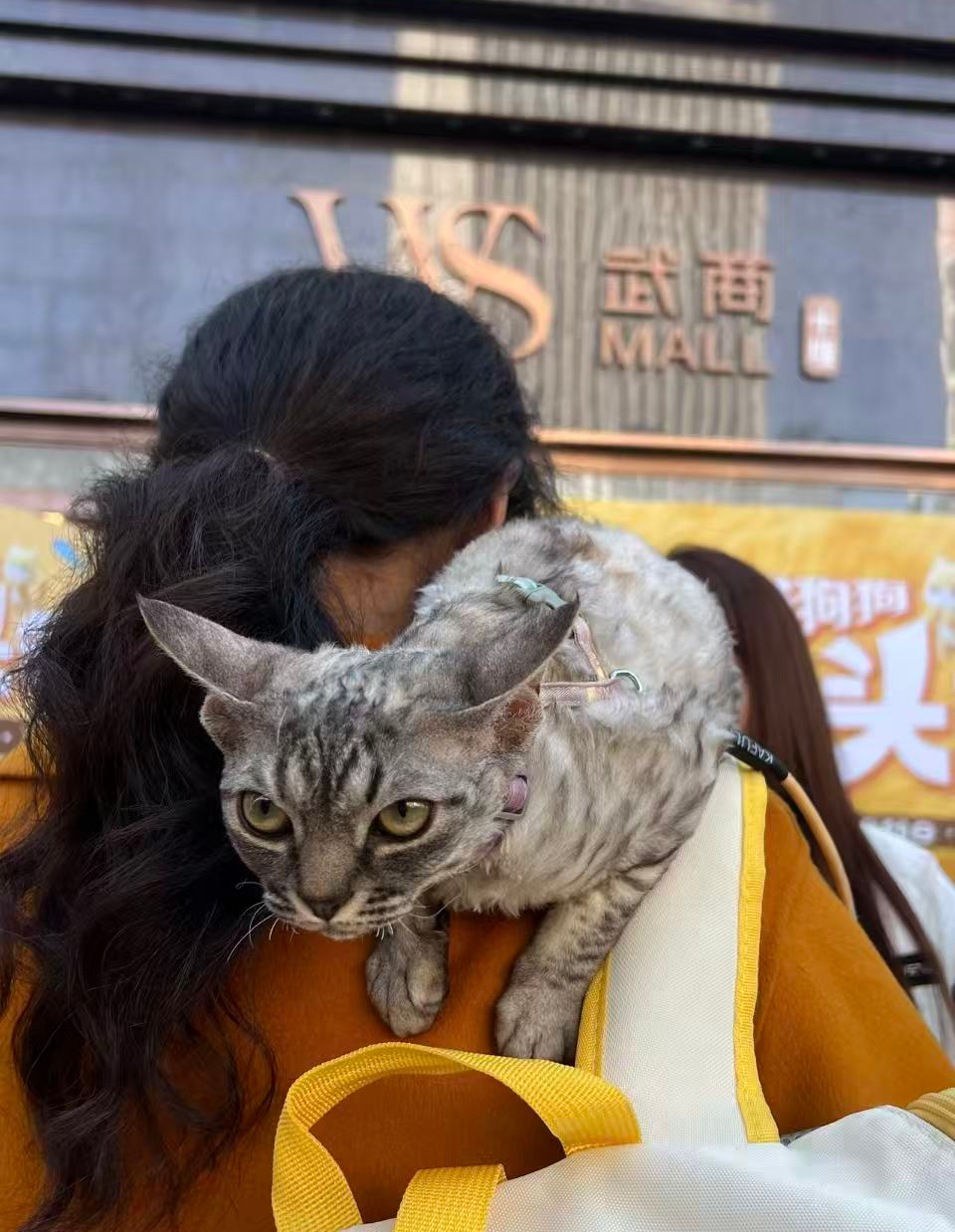 1277�Ǽʵ���(�й���)�ٷ���Ϸ��ַ