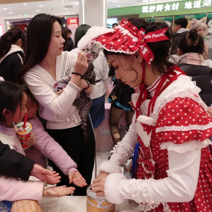 1277�Ǽʵ���(�й���)�ٷ���Ϸ��ַ